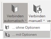 Verbinden automatisch mit Optionen | FRILO